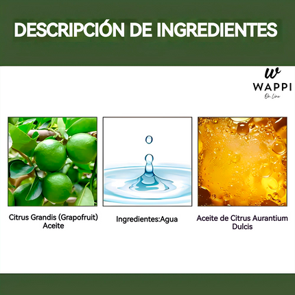 Elixir Capilar Ouhoe 100ml Control De Caida Y Crecimiento De Cabello - Recupera y Fortalece