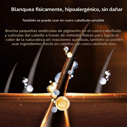 Corrector Capilar Instantáneo Cubre Canas