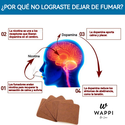 Pack 30 Parches Antitabaco Transdérmico 21mg – Tratamiento 30 Días 🚭🌿