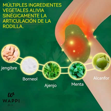 🦵Parches Antiinflamatorios para Rodilla – Pack x10 | Alivio y Comodidad Todo el Día