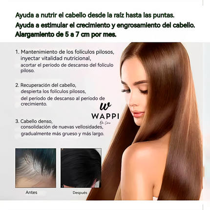 Elixir Capilar Ouhoe 100ml Control De Caida Y Crecimiento De Cabello - Recupera y Fortalece